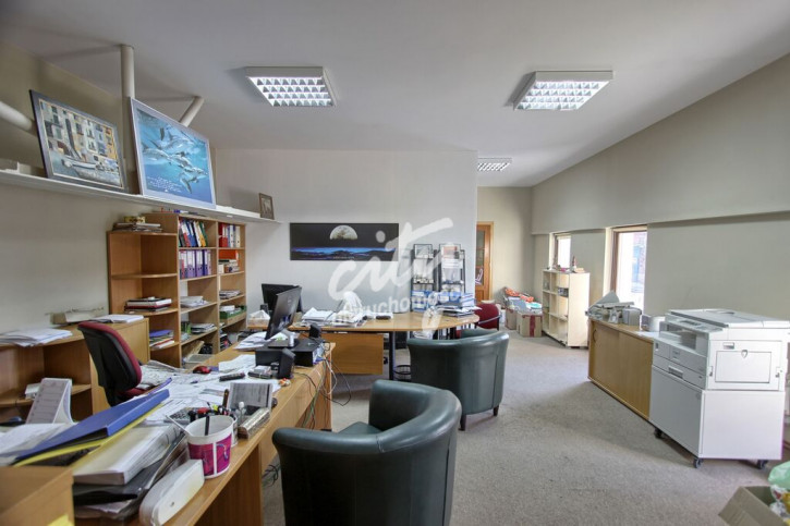 Lokal Wynajem Szczecin Centrum 5