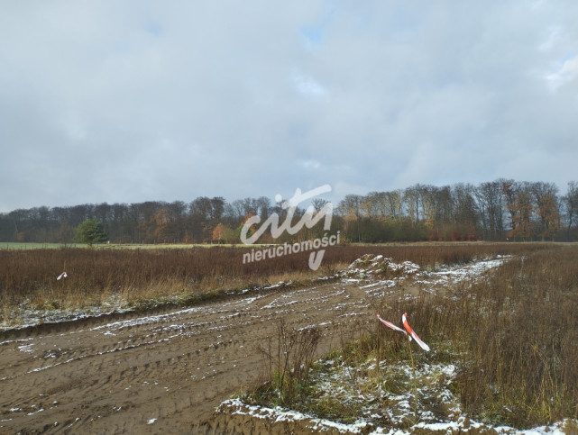 Działka Sprzedaż Dobropole Gryfińskie 5