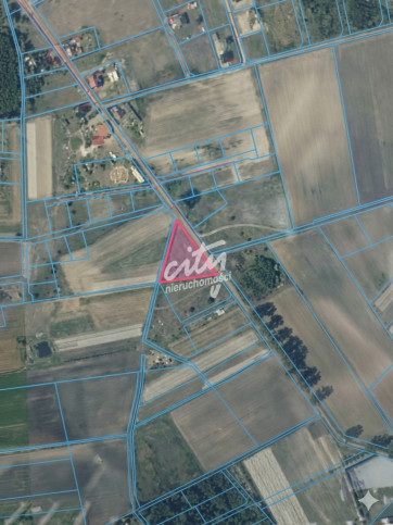 Działka Sprzedaż Lubczyna 1