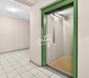 Lokal Wynajem Szczecin Stare Miasto