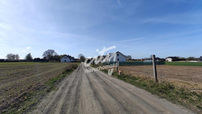 Działka Sprzedaż Białuń