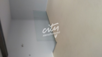 Lokal Wynajem Szczecin Śródmieście-Centrum