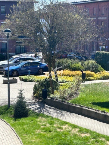 Mieszkanie Wynajem Szczecin Warszewo Poznańska 25