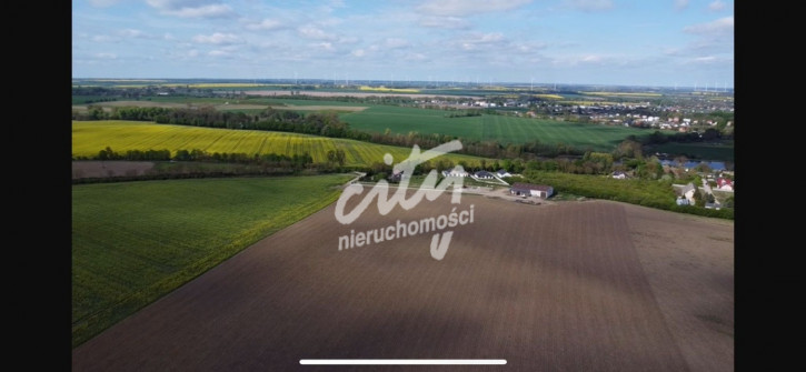 Działka Sprzedaż Pyrzyce 2