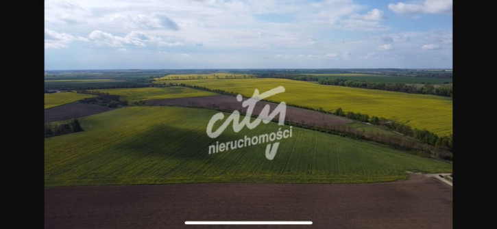 Działka Sprzedaż Pyrzyce 4