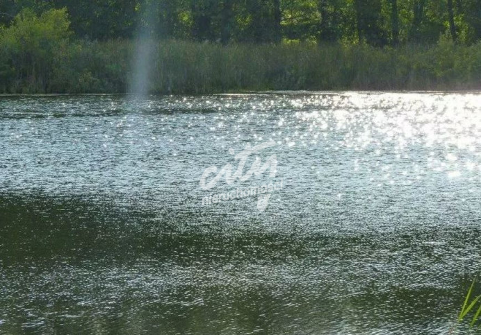 Działka Sprzedaż Zieleniewo 7