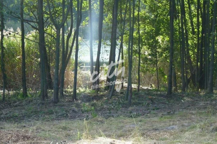 Działka Sprzedaż Zieleniewo 5