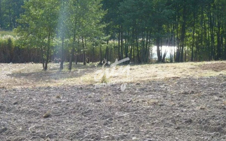 Działka Sprzedaż Zieleniewo 4