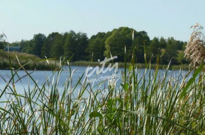 Działka Sprzedaż Zieleniewo