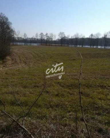 Działka Sprzedaż Kaszewo 4