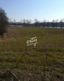 Działka Sprzedaż Kaszewo