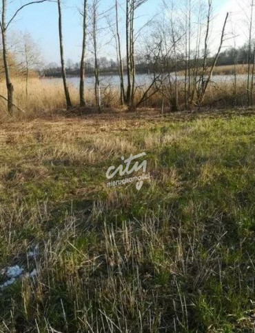 Działka Sprzedaż Kaszewo 2