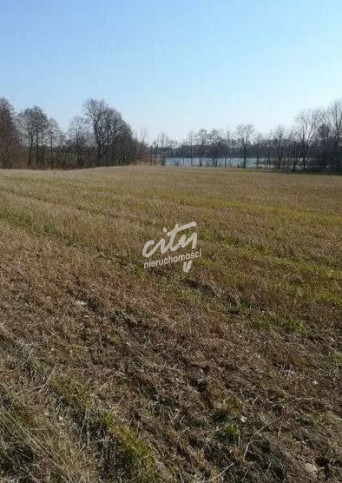 Działka Sprzedaż Kaszewo 3
