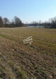Działka Sprzedaż Kaszewo