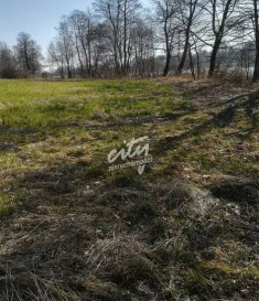 Działka Sprzedaż Kaszewo