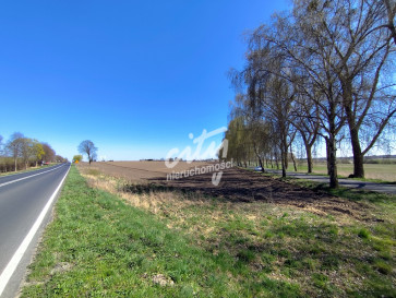 Działka Sprzedaż Wojcieszyn