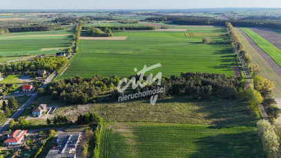 Działka Sprzedaż Steklno