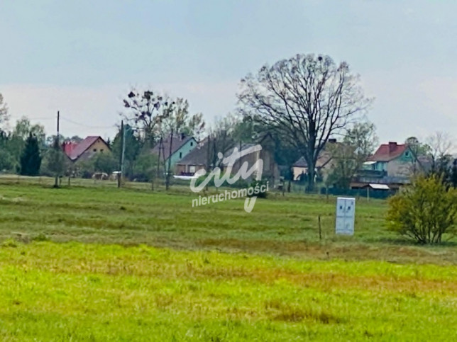 Działka Sprzedaż Miłowo 1