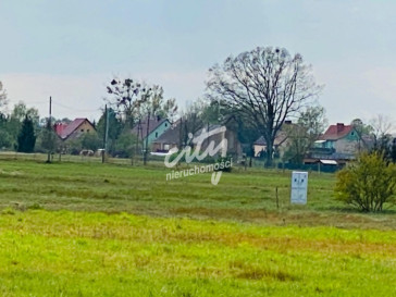Działka Sprzedaż Miłowo
