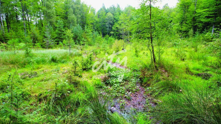 Działka Sprzedaż Przemocze 3