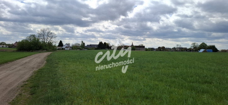 Działka Sprzedaż Bagna 1