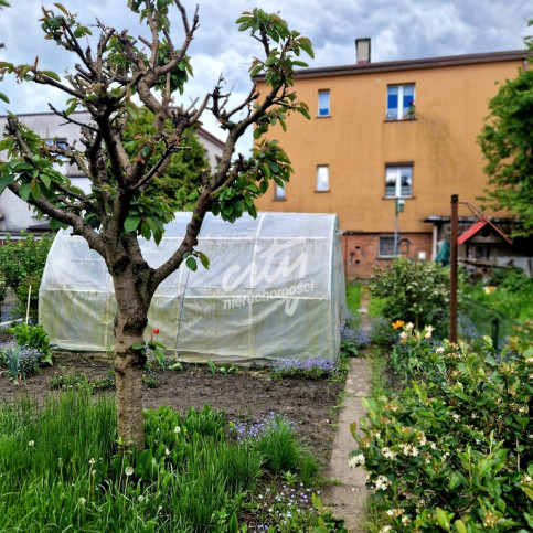 Mieszkanie Sprzedaż Goleniów Marii Dąbrowskiej 3