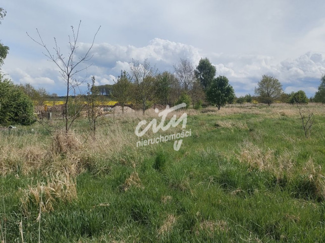 Działka Sprzedaż Lędzin 8