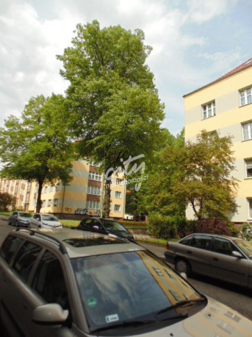 Mieszkanie Sprzedaż Szczecin Niebuszewo Heleny 1