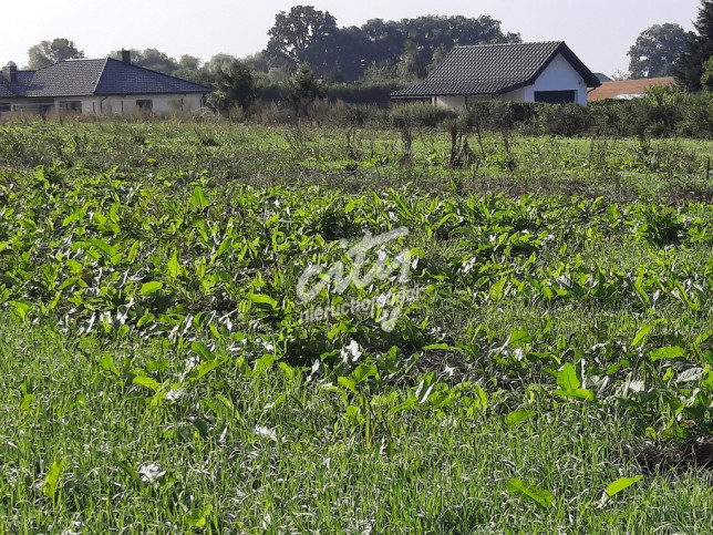 Działka Sprzedaż Kurów Na Klifie 4