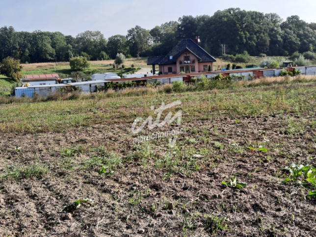 Działka Sprzedaż Kurów Na Klifie 10