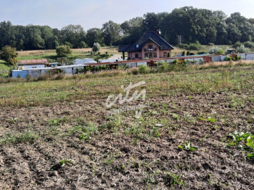 Działka Sprzedaż Kurów Na Klifie