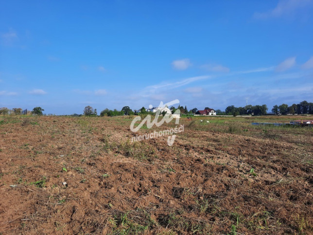 Działka Sprzedaż Kurów Na Klifie 19