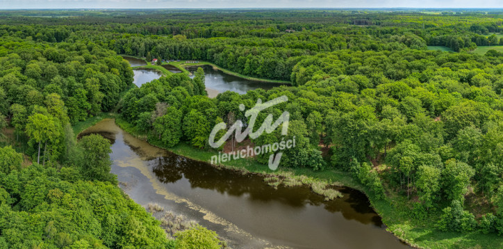 Działka Sprzedaż Wisławie 3