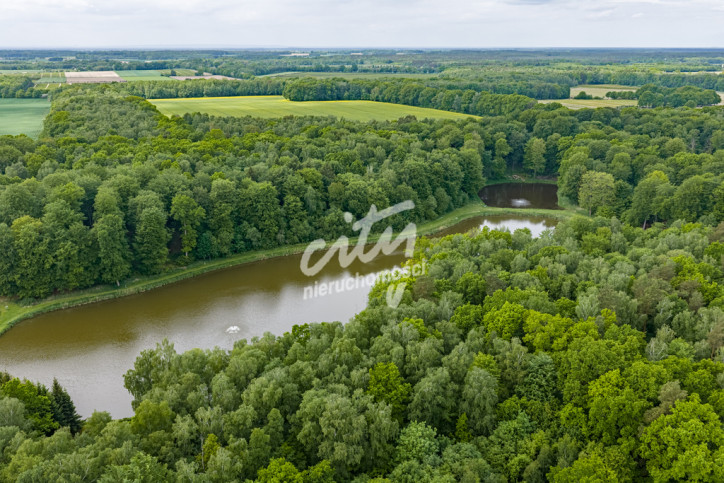 Działka Sprzedaż Wisławie 9