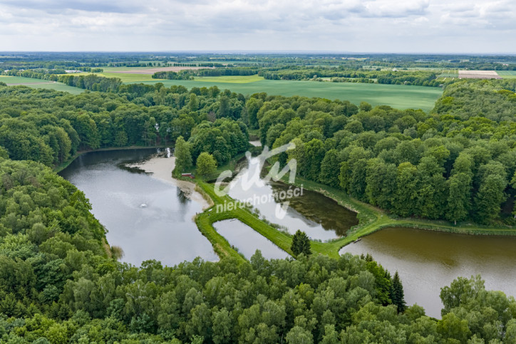 Działka Sprzedaż Wisławie 10