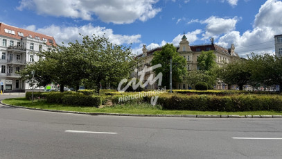 Mieszkanie Sprzedaż  Centrum Monte Cassino