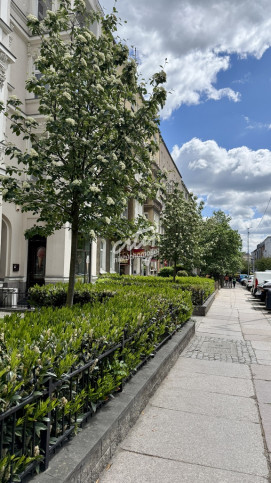Mieszkanie Sprzedaż Szczecin Centrum Monte Cassino 1