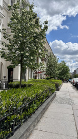 Mieszkanie Sprzedaż  Centrum Monte Cassino