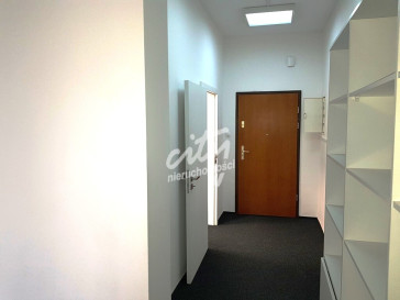 Lokal Wynajem Szczecin Centrum