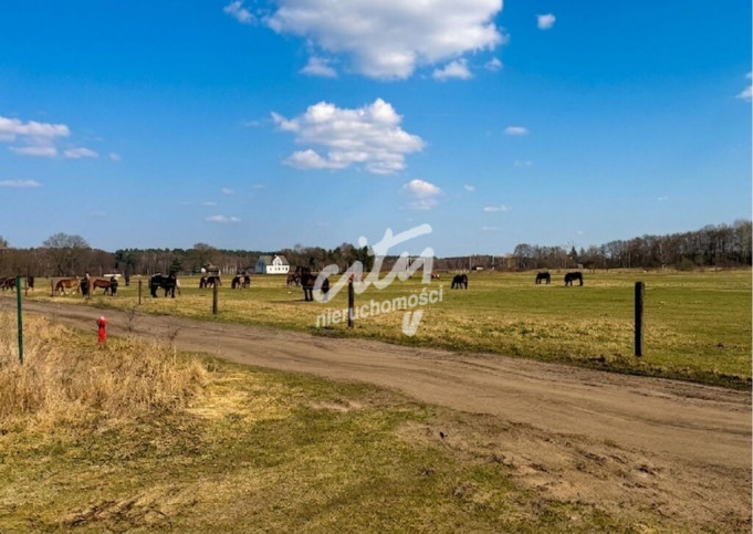 Działka Sprzedaż Białuń Jarzębinowa 8