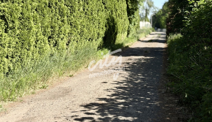 Działka Sprzedaż Dobra 2