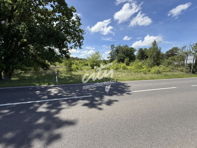 Działka Sprzedaż Brzózki 11