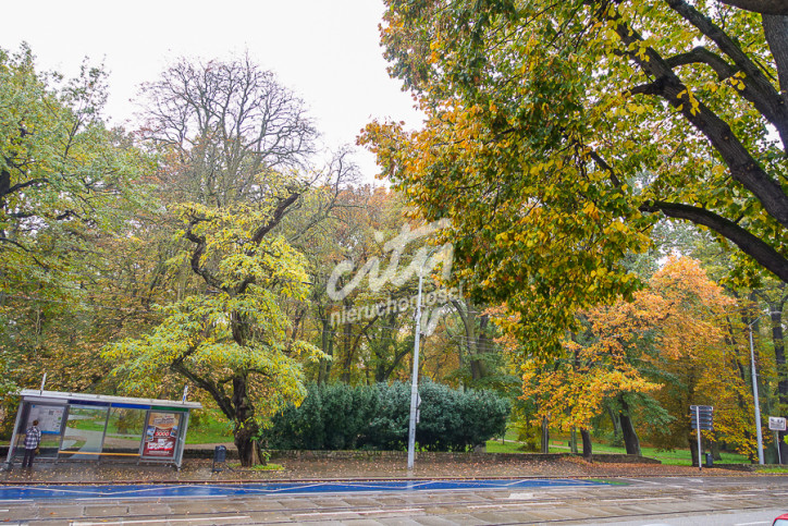 Mieszkanie Sprzedaż Szczecin Śródmieście Jacka Malczewskiego 43