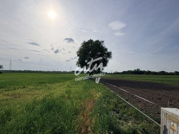 Działka Sprzedaż Przęsocin