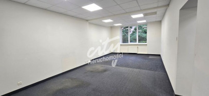 Lokal Wynajem Szczecin Śródmieście-Centrum