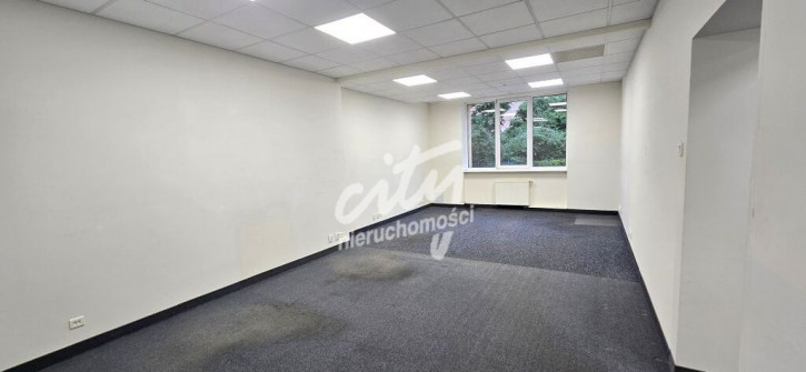 Lokal Wynajem Szczecin Śródmieście-Centrum 3