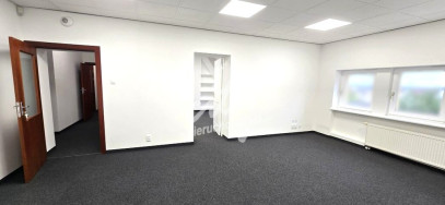 Lokal Wynajem Szczecin Śródmieście-Centrum