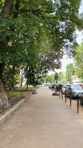 Mieszkanie Wynajem Szczecin Centrum Bolesława Śmiałego 11