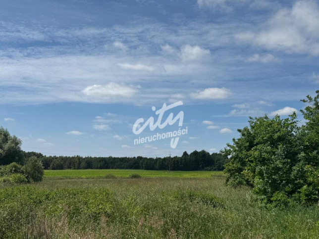 Działka Sprzedaż Krasnołęka 10