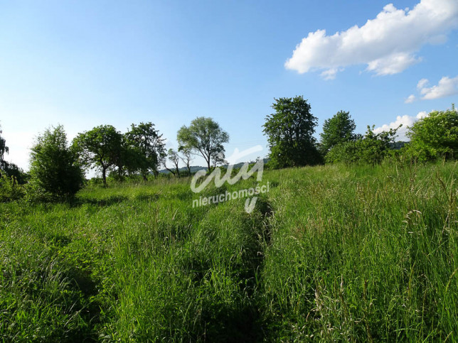 Działka Sprzedaż Binowo 1